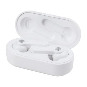 25dB TWS ANC Earbuds