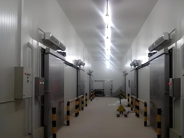 Cheap Durable Bitzer Cold Room Freezer With Digital Temperature Controller for sale