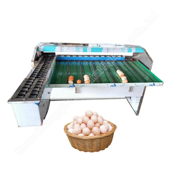 Cheap Chicken Farm Classifier Chicken Farm Grading Machine Chicken Egg Sorting Machine Egg Weight Sorting Machine for sale