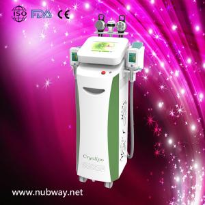 Newest fast amazing result cryolipolysis fat reduction machine to lose weight