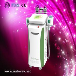 Super fast amazing result new portable cryolipolysis equipments to lose weight