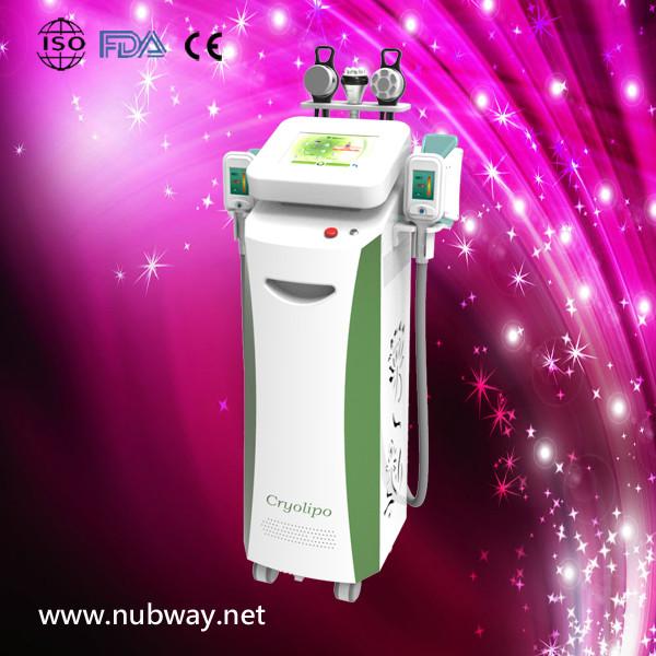 Cheap Newest fast amazing result cryolipolysis machine 2013 to lose weight for sale