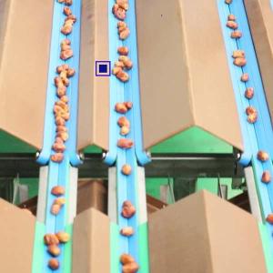Best Size Classification 2.0 Tons Per Hour 8-Lane Palm Dates Sorting Machine wholesale