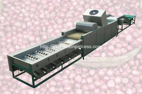 Cheap Automatic Onion Selecting Cleaning and Sorting Machine for sale