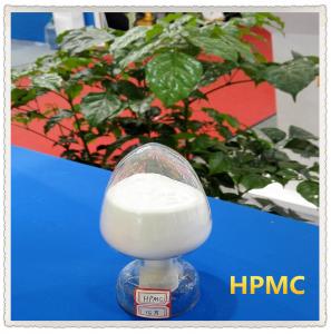 Best Thickening auxiliary HPMC white powder for gypsum based plaster 45000cps wholesale