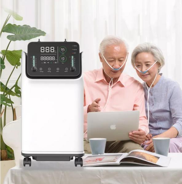 Cheap Dual Flow Mobile Oxygen O2 Concentrator Machine 10 L for sale