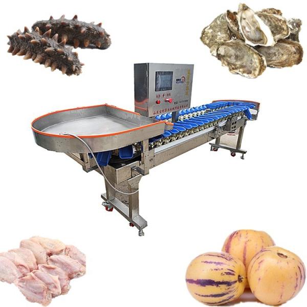 Cheap LCD Display Automatic Conveyor Belt Weight Sorting Machine for sale
