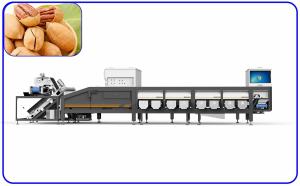 Best Electric Drive Pecan Grading Sorting Machine Artificial Intelligence 12 Channel wholesale