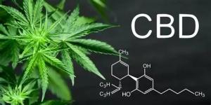 CBD Oil Softgel Capsule Encapsulation Machine With Bottom RTD Sensor FDA Approved
