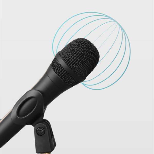 Cheap Wired Studio Condenser Microphone With Audio Interface 65dB SNR for sale