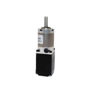 Metal Ring Material 28mm Nema 11 Planetary Gear Reducer Stepper Motor with Gearbox
