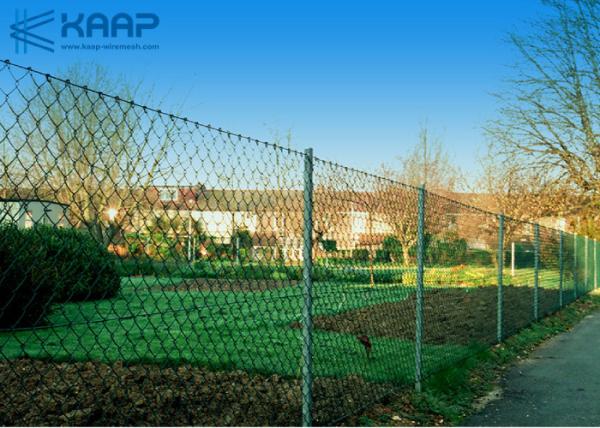 Cheap Professional Welded Wire Mesh , Welded Steel Mesh 1.8m High PVC Coated for sale
