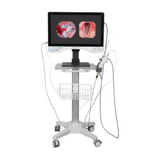 Best FHD All In One Endoscope Camera System Built-in LED Light &amp; Flexible Scope For Laparoscopy wholesale