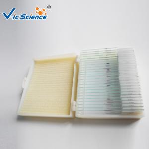 Best Beginners Microscope Glass Slides 12 Pcs Prepared Microscope Slides Set wholesale