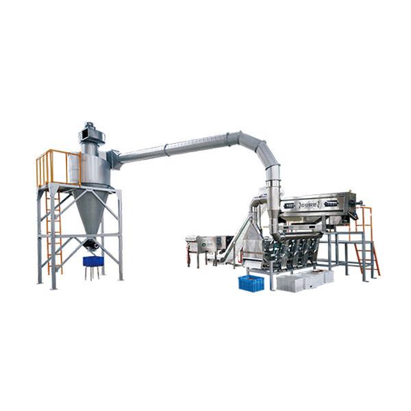 Cheap One Click Fast Pecan Craking Shelling Machine High Capacity Farewell to Manual Labor for sale