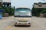 Commercial Vehicle Transport County Coach Bus Japanese Rural Coaster Type SGS /