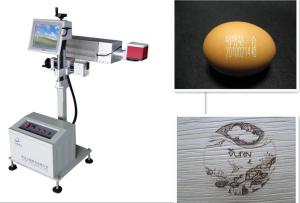 Nometal Laser Date Coding Machine 100 X 100 mm Marking Range Maintenance - Free