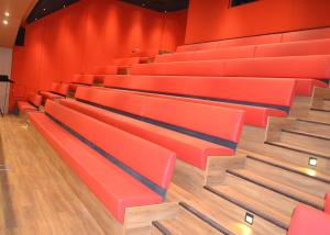 Pratically Upholstered Retractable Theater Seating Optional Backrest With Strong Understructure