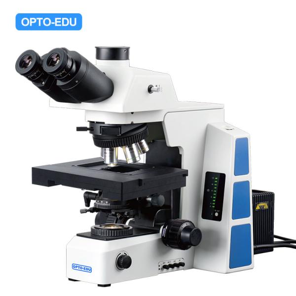 Cheap M12.5850 Compound Optical Microscope Biological Bf 2d Xyz Motorized for sale