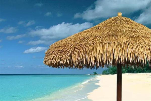 Cheap Durable Garden Landscape Design Decorative PVC Thatched Roof Tiles with Customization for sale