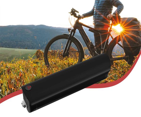 Cheap 18650 13S3P E Bike Li Ion Battery Pack customized cell brand for sale