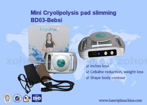 China Home Use Mini Cryolipolysis Machine 220v / 110v Slimming on sale