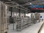 Juice And Puree Processing Machine For Pineapple Processing Line