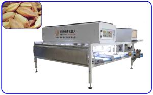 Precise Pili Nuts Grading Sorting Machine Mechanical 6 Channel Computer Control