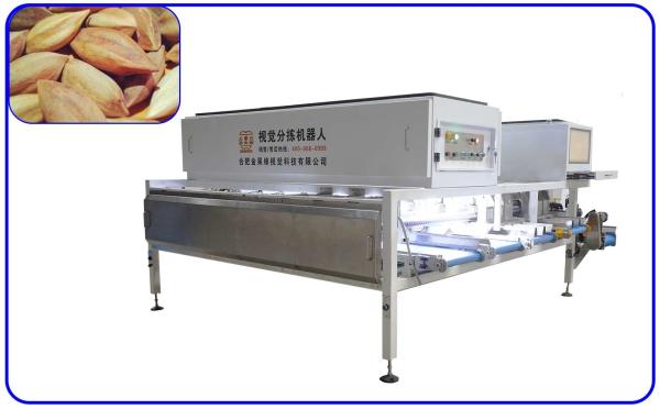 Cheap Precise Pili Nuts Grading Sorting Machine Mechanical 6 Channel Computer Control for sale