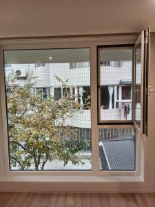 Best Fly Screen Mosquito Screen Retractable Sliding Roller Retractable Screen Window Customized wholesale