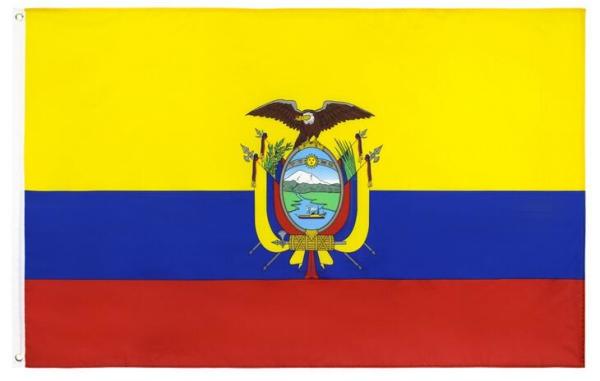 Cheap Custom Country Screen Printed Rectangle Feather Flag for sale