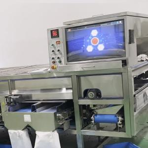 High Efficient CE Certified Pistachio Sorting Machine 98% Accuracy 1100kg Output