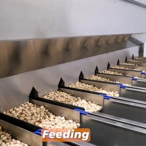 Best 16 Channels High Speed Intelligent Pistachio Sorting Grading Machine Computer Control wholesale
