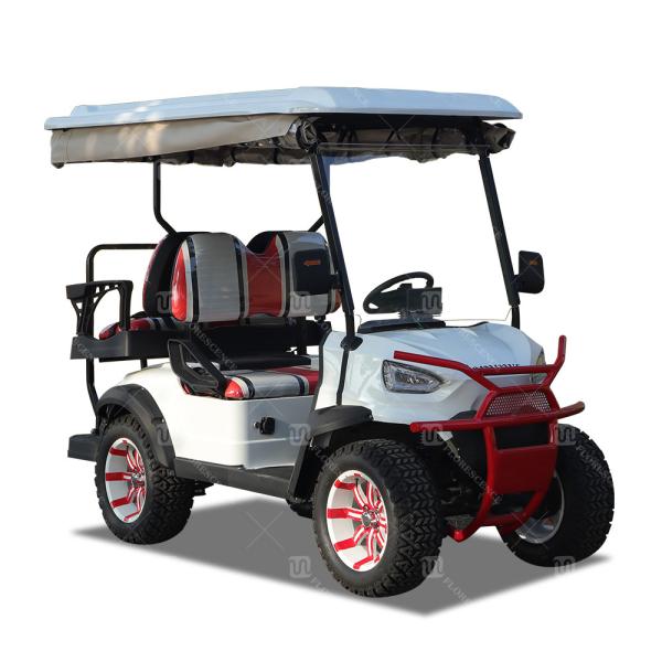 Cheap Lithium Ion EV Advanced Golf Cart 48 Volt Golf Buggy Custom for sale