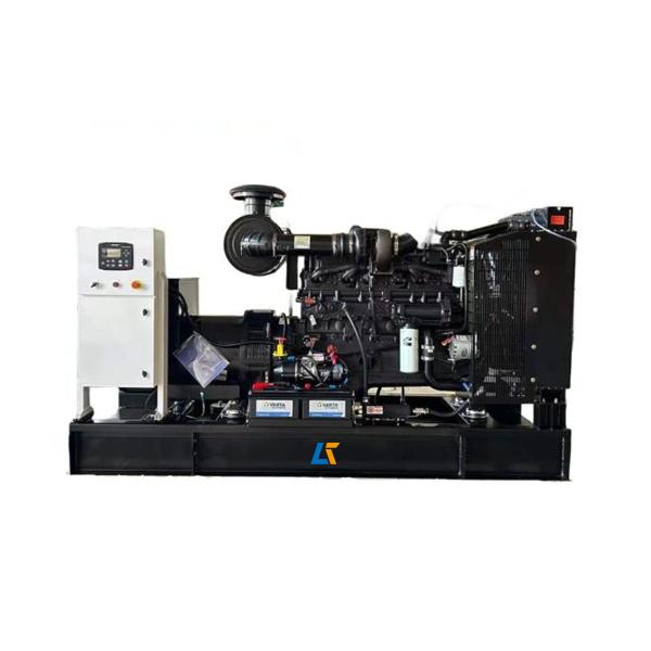 Cheap Cummins Diesel Generator Set 250KW/312.5KVA 60HZ Standard Compose Dongfeng Cummins Engine 24V Charging Generators for sale