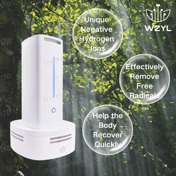 Cheap 12V Negative Hydrogen Oxygen Inhale Generator 18W WEIZI WZ-HX02 for sale