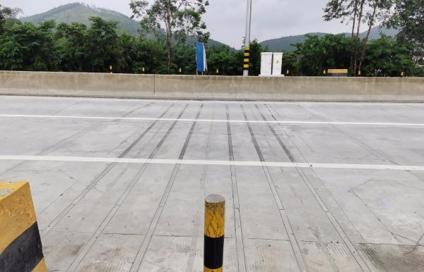 Cheap 100km/H Dynamic Weighing System High Response Frequency for sale