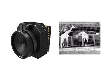 Cheap Uncooled Infrared Thermal Security Camera Module With Multiple Lenses for sale