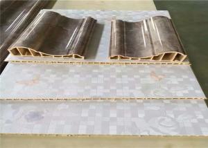 China 350KG/H Product Speed WPC Wall Panel Machine , PLC Control WPC Profile Production Line on sale