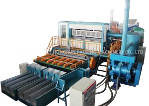 China Automated Pulp Molding Machine For Egg Carton / Apple Tray Making on sale