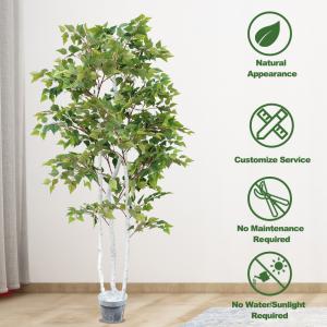 China SGS Real Touch Fiddle Leaf Fig Artificial Potted White Birch Tree With Leaves 1.8m 6ft Tall on sale