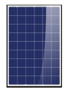 China 5BB Polycrystalline Solar Cells , Custom Size Solar Cells 300 310 320 330 Watt on sale
