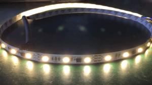 China DC12V addressable white digital led strip ws2811 on sale