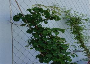 Best SS 304 Cable Trellis System Reliable With Unique Flexibility And Brightness wholesale