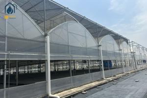 Multi Span Herb Greenhouse Farming UV Resistant With Hydroponic System