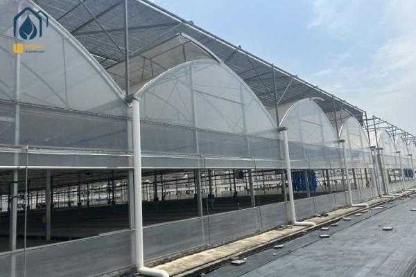 Cheap Multi Span Herb Greenhouse Farming UV Resistant With Hydroponic System for sale