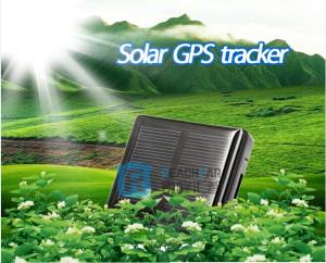 Waterproof gps tracking device for sheep animal tracking with free online software gps sim