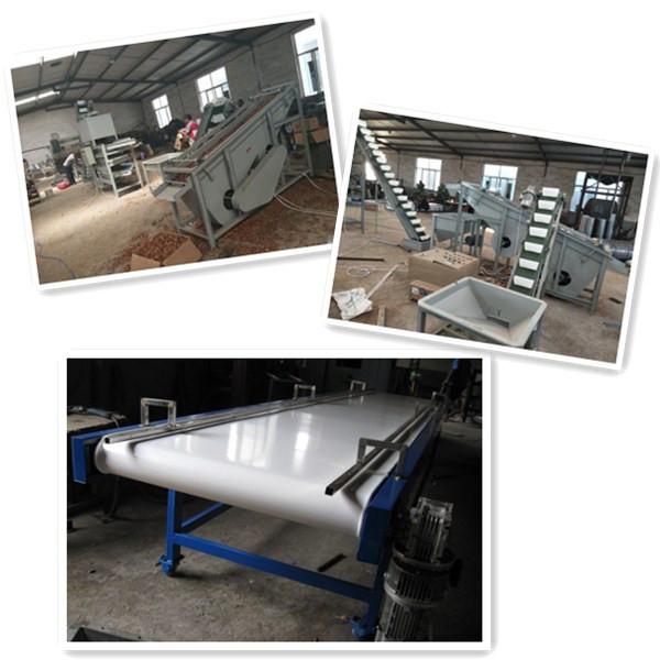 Cheap walnut processing machines, walnut cracker, walnut shelling machine for sale