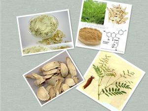 China Dried Astragalus root powder ,Crude Astragalus root powder on sale