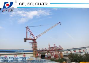 1250KN.m Rated Lifting Moment 50m Tower Crane Boom Length Fixed Jib Crane D5020 Luffing Boom Crane